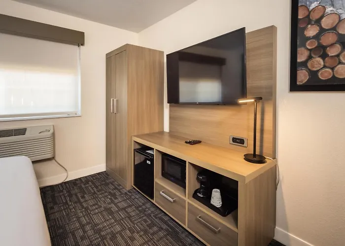 Hotel near College: Comfort Inn Hayward - Oakland South